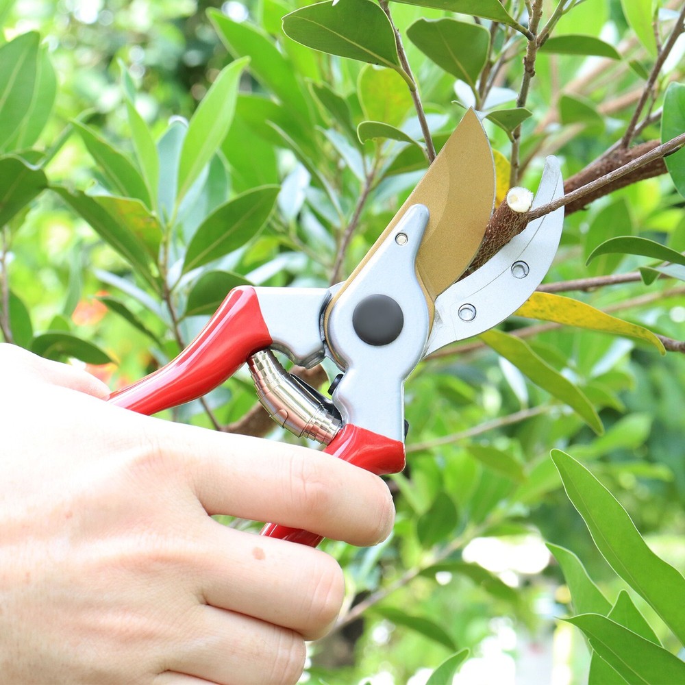 Pro Pruners 8" Professional Sharp Bypass Pruning Shears, Hand Pruners, Clippers