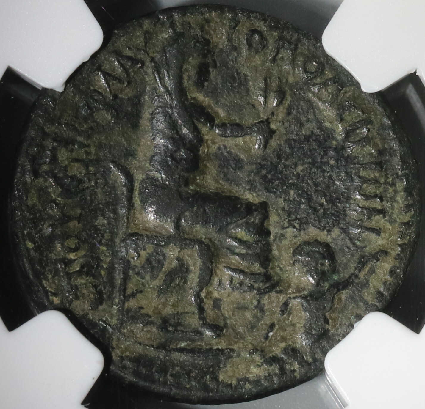 82 NGC VF Domitian Cilicia Flaviopolis Tyche Seated River God AE23 (20080302C)