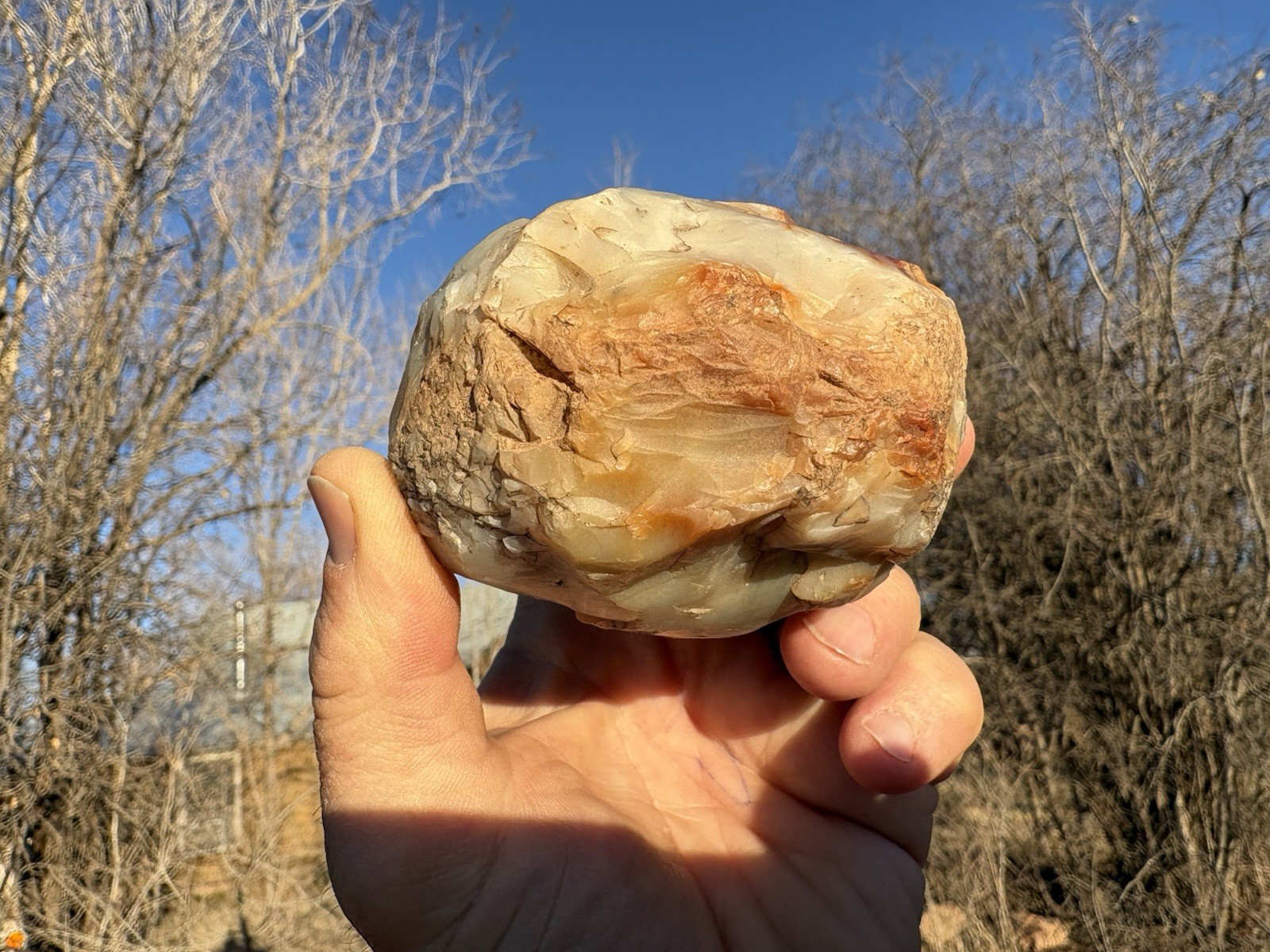 ☘️RR⚒: Anasazi Mano Made From Agate Fossil Wood NE AZ.