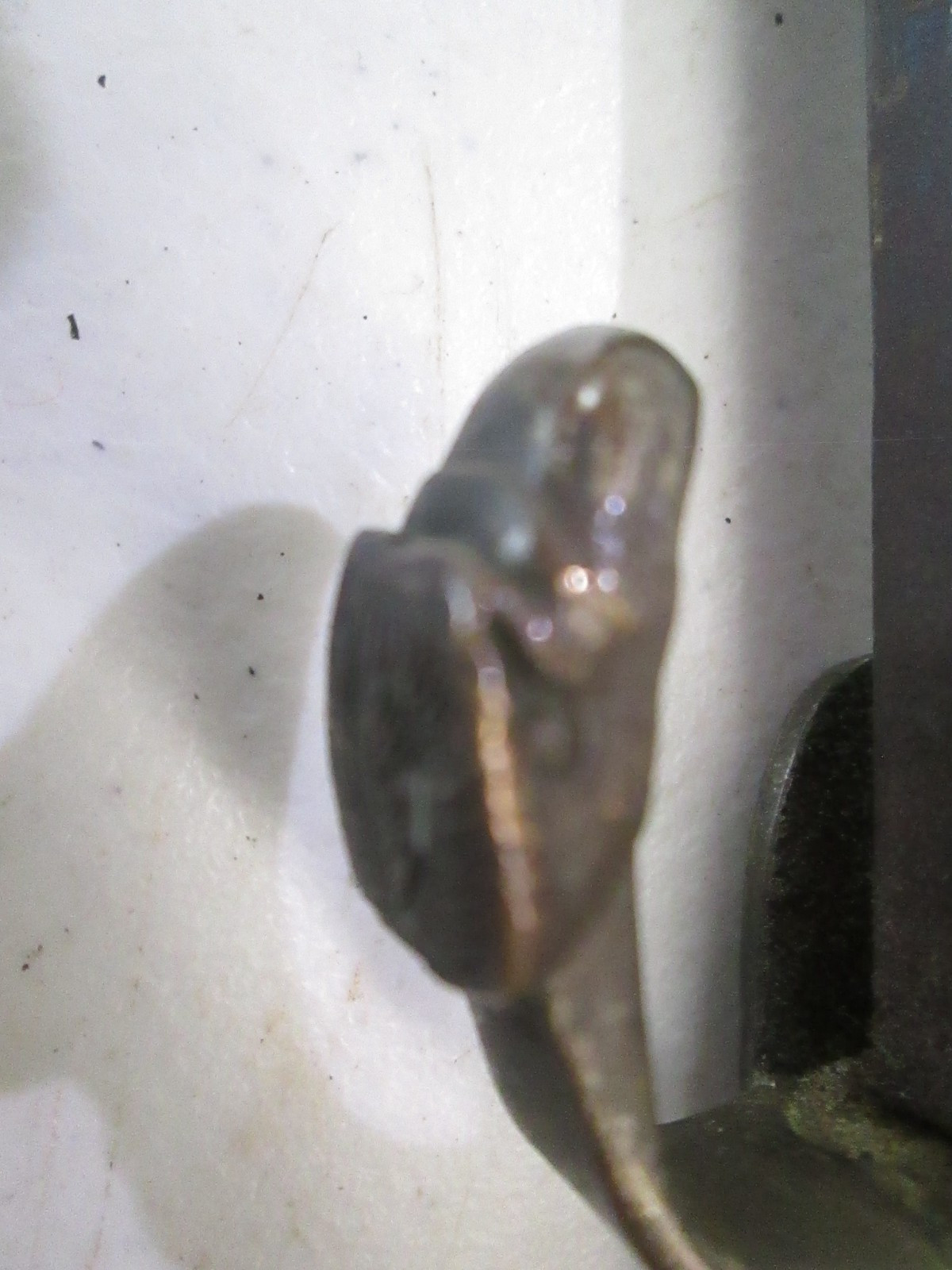 US Militia Eagle Head West Point Sword with Etched Blade