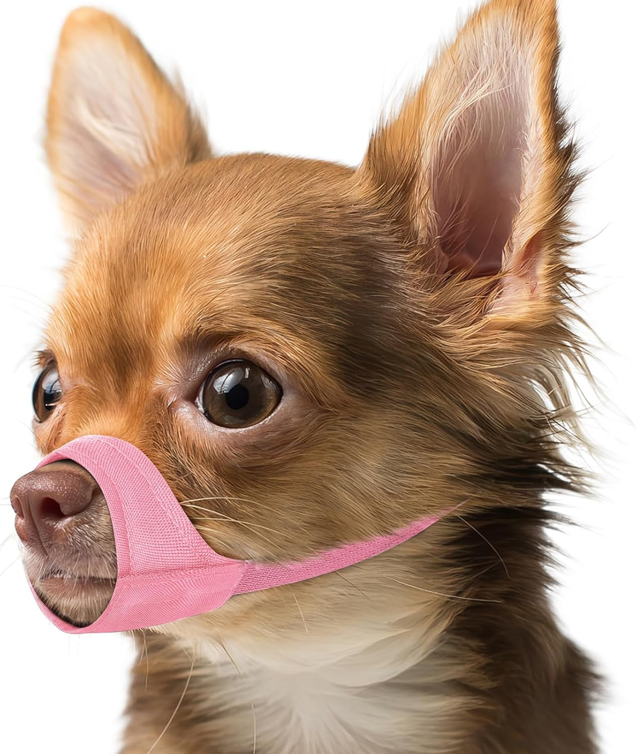 Short Snout Dog Muzzle Small Muzzle for Chihuahua Shih Tzu American Bully Boxer