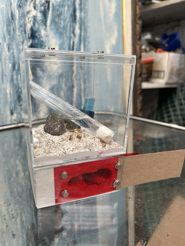 Formicarium