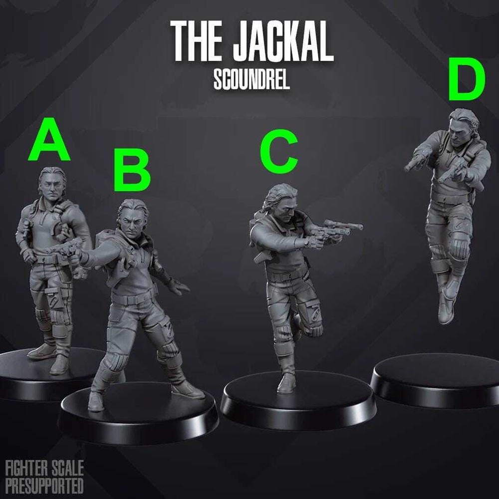 The Jackal Scoundrel - SKULLFORGE | Legion compatible - 3D printed