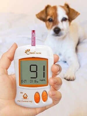 Test strips lancets for blood glucose meter monitor dog cat glucometer diabetes