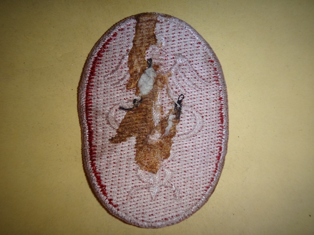 Vietnam War Patch US Army HEALTH SERVICES COMMAND