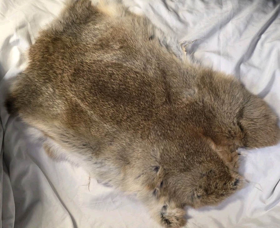 Rabbit Fur Pelts X 9 Rare Patterns 🔥 Georgous 🔥
