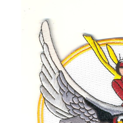 CASU-24 Carrier Aircraft Service Units Patch