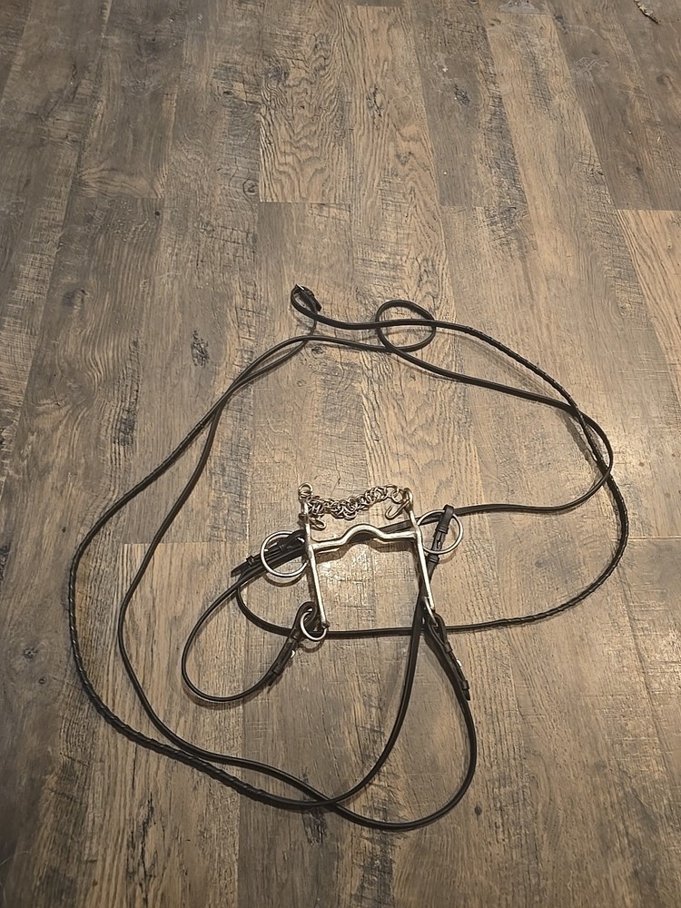 Horse Bit With Reins