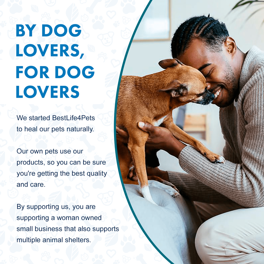 Dog Allergy & Immune Support Supplement Success