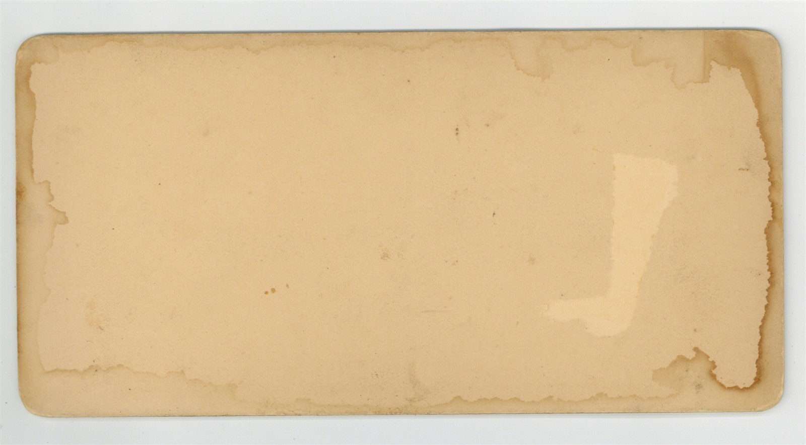 African American Stereoview 1896 Coney Island Beach Outing Photo Fair Exhibition