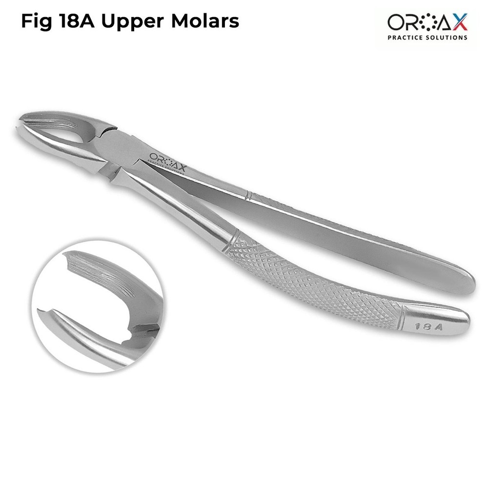 Oroax Fig 18A Dental Extraction Forceps Solid Handle Stainless Steel