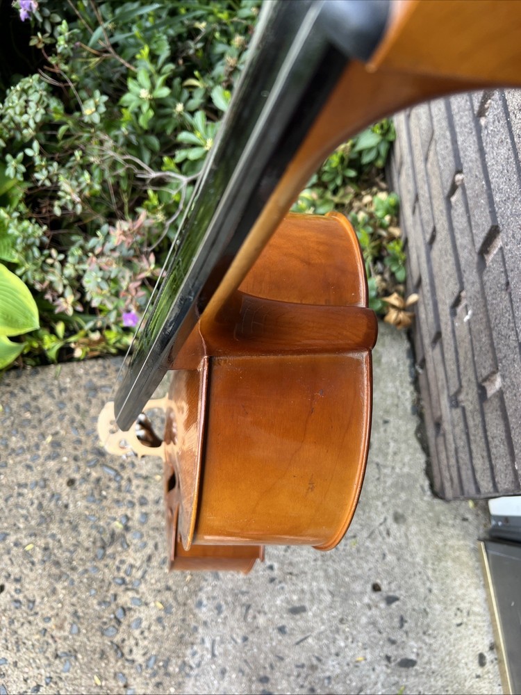 Engelhardt Orchestral Cello Model 5512 Soft Case