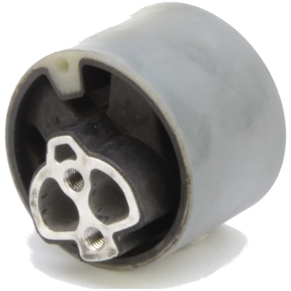 Rr trans Mount Anchor 10002