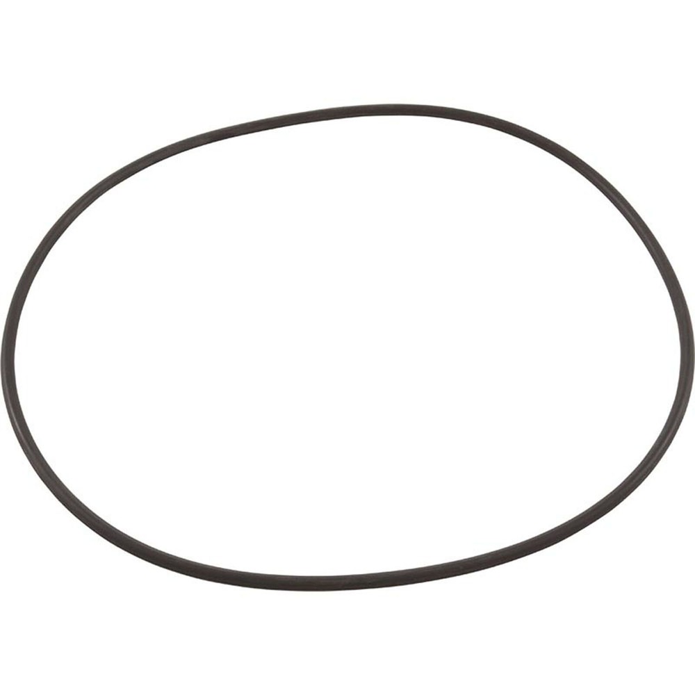 O-Ring U9-169 by Pentair