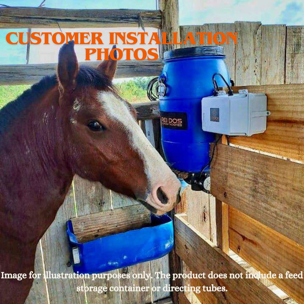 Automatic Feeder with Timer – Feed Dispenser for Small & Large Animals