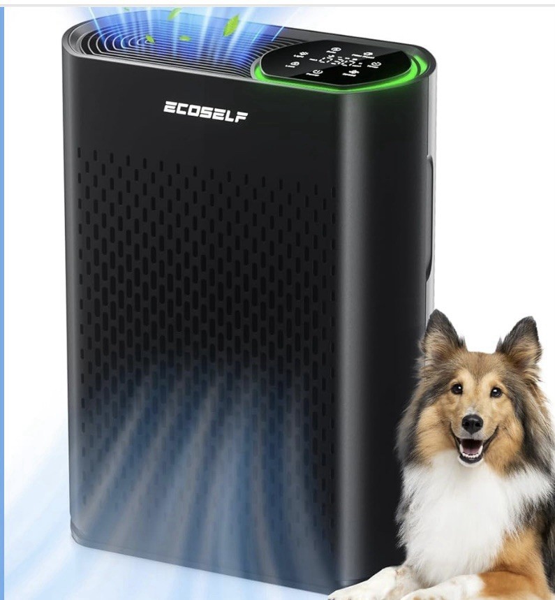 Ecoself Console Air Purifier Black with Dust Sensor & Automatic Adjustment