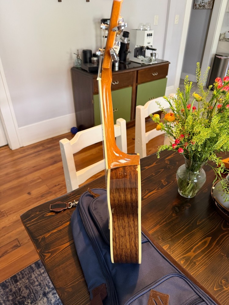 Mitchell MU70 Concert Ukelele