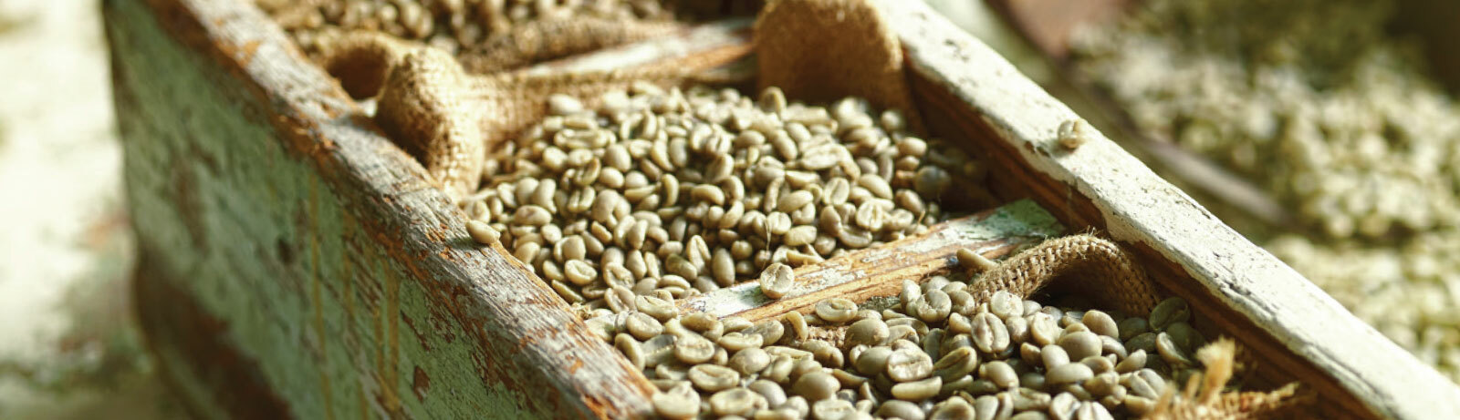 5 LBS HIGH ALTITUDE PERUVIAN PERU UNROASTED GREEN COFFEE BEANS - ORGANIC ARABICA