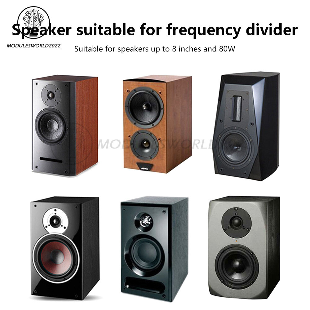 Speaker Modification Upgrade Crossover Frequency Filter High & Low Two-way HiFi