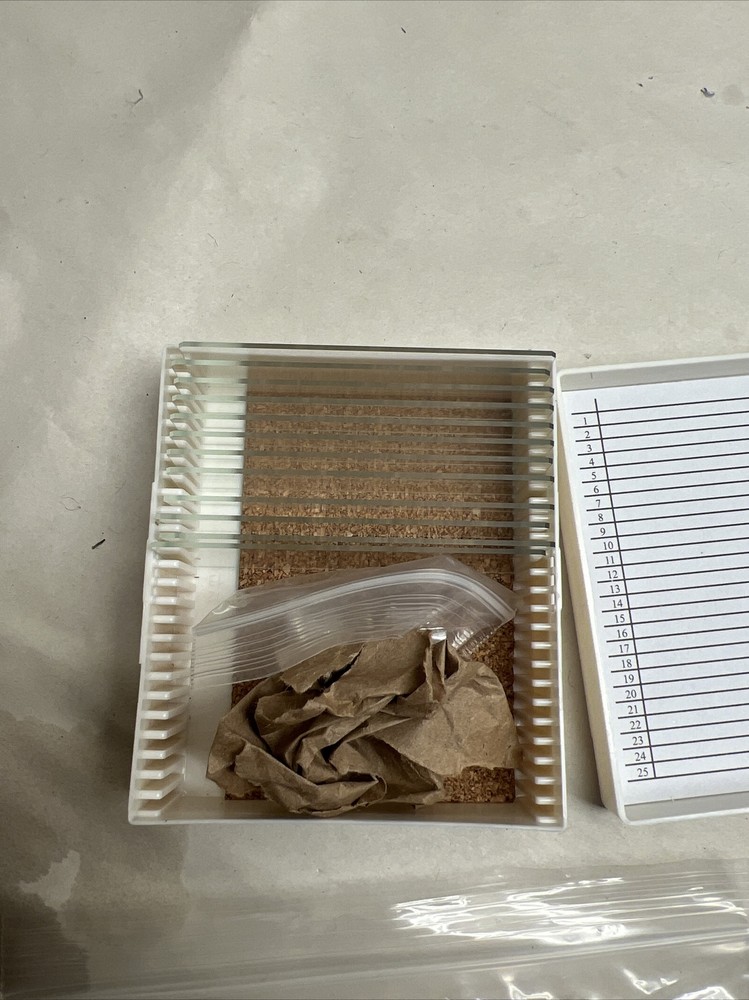 Microscope Slides Single Depression Concave Pack of 12
