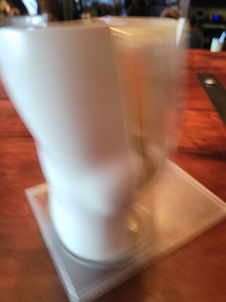 VINTAGE KNEE JOINT MODEL