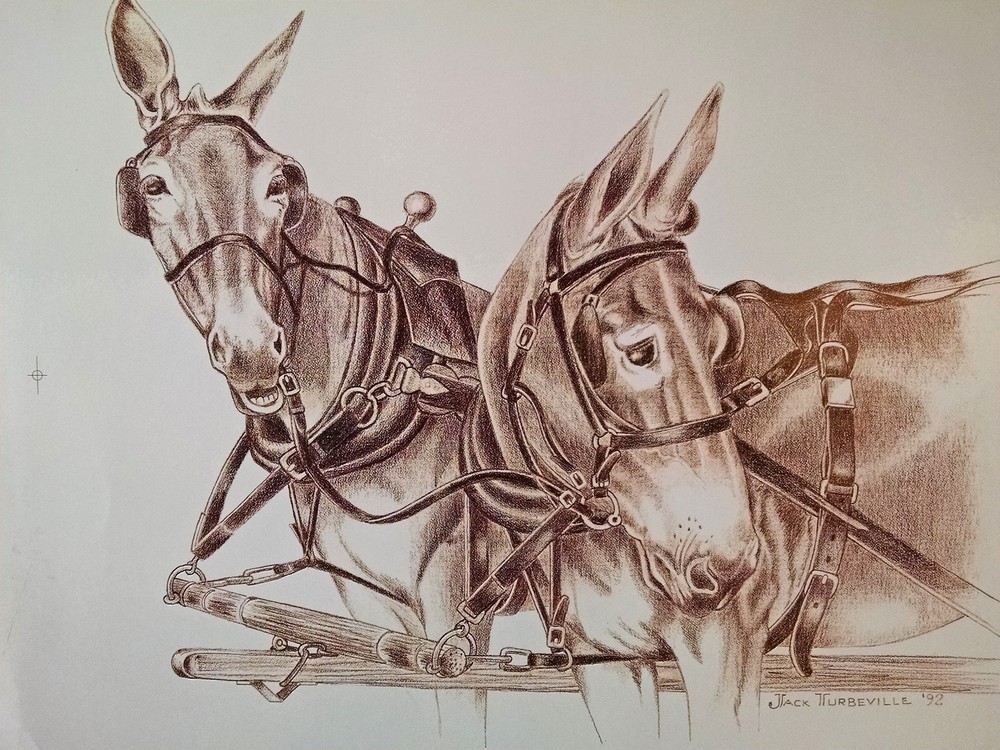 Work Mule Print by Jack Turbyville Red Mules