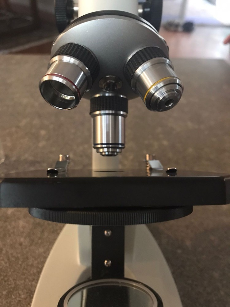 AmScope Microscope
