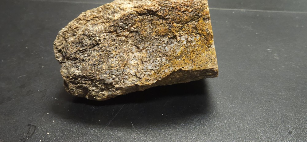Colorado Gem Bone