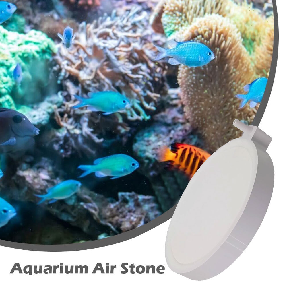 Large Aquarium Air Stones Fish Tank Round Air Disk Bubble Diffuser Release Tray