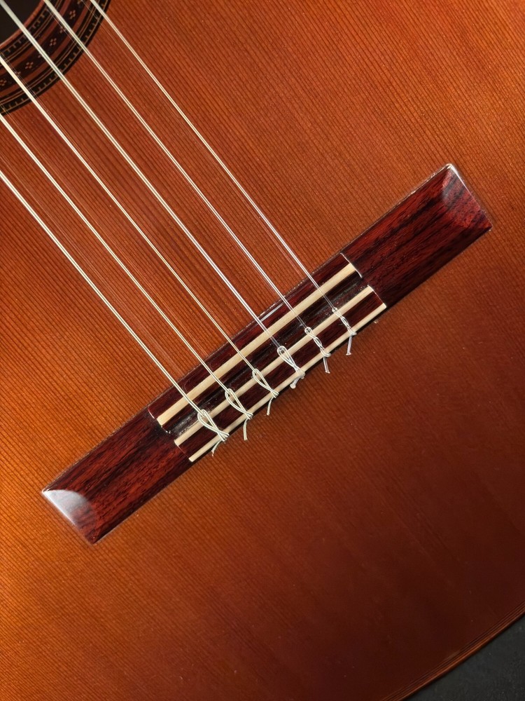 2005 Michael Thames "Double Top" Classical Guitar #605