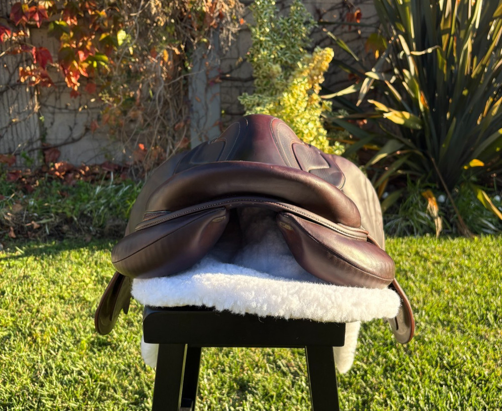 Devoucoux Biarritz Lab Saddle, 2019 17.5" *FULL BUFFALO* D3D, Long/Forward Flap