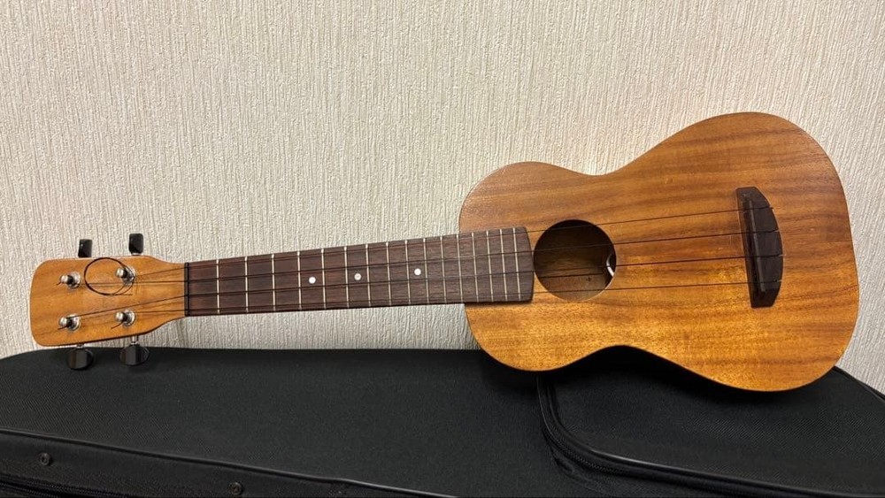 Mana ukulele gear peg pickup with hard case