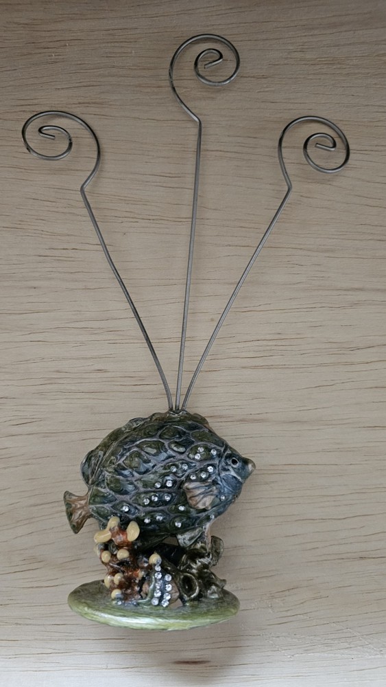 Fish Photo Card Holder 3-Wire Ring