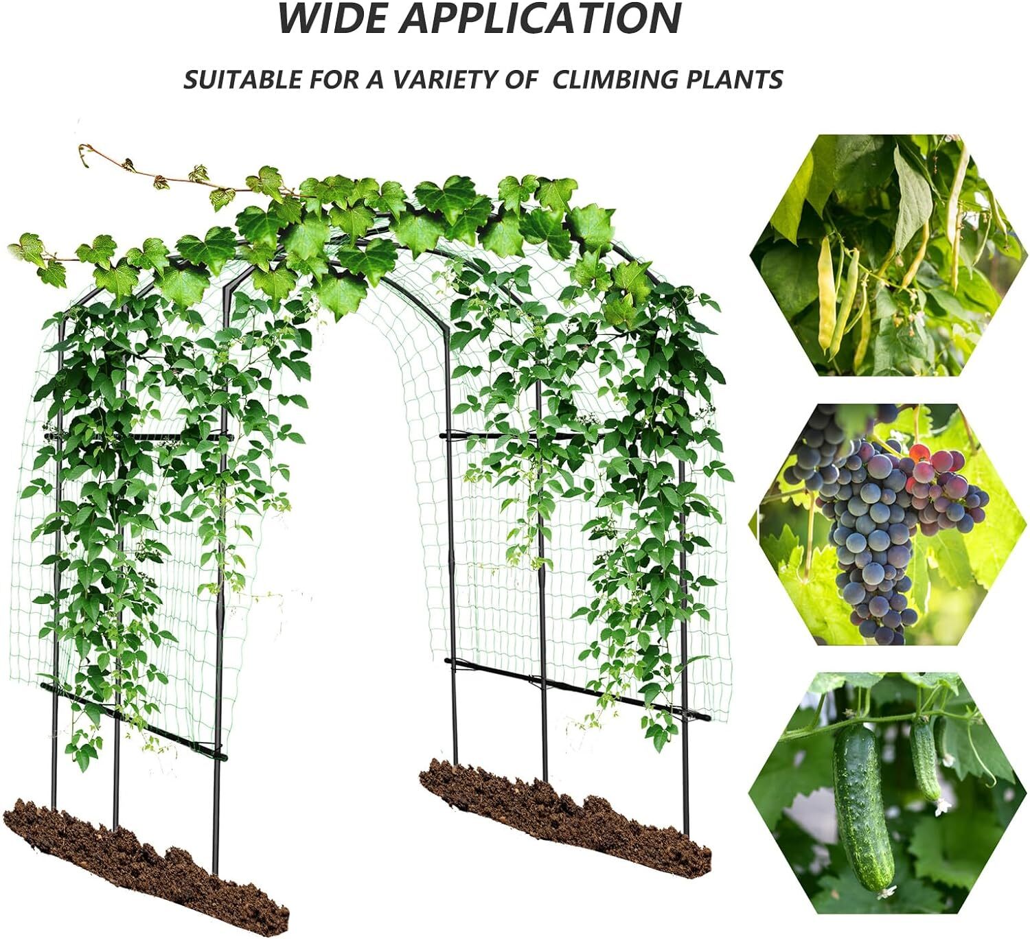 Barbella Garden Arch Trellis Metal Plant Support Trellis Archway for Climbing