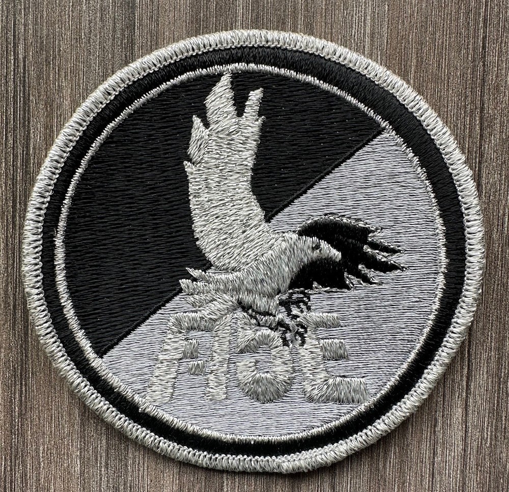 USAF McDONNELL DOUGLAS F-15E STRIKE EAGLE " PATCH