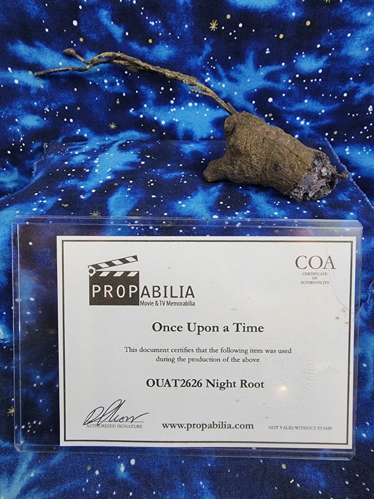 Once Upon a Time Prop Night Root