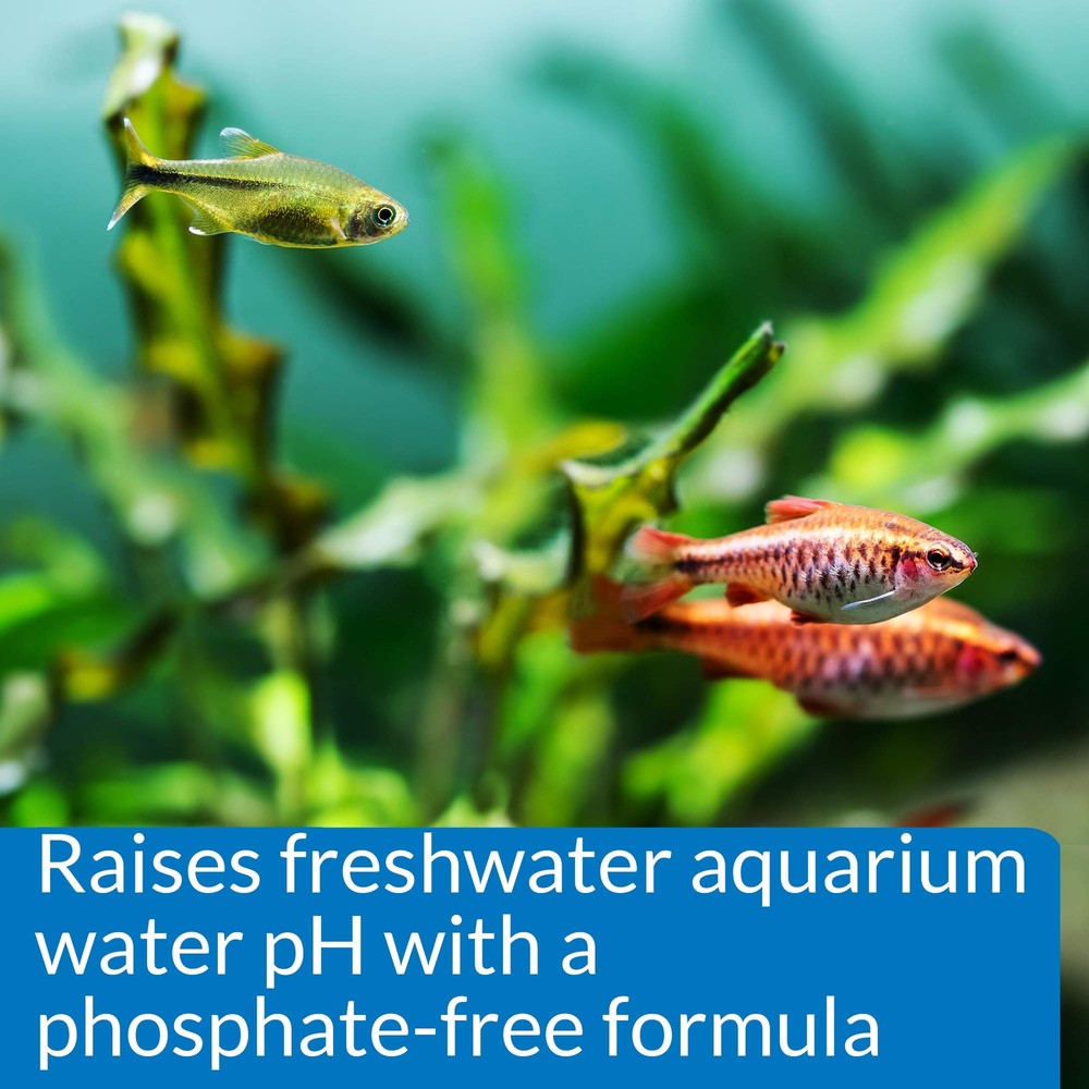 API pH UP Freshwater Aquarium Water pH Raising Solution 4-Ounce Bottle