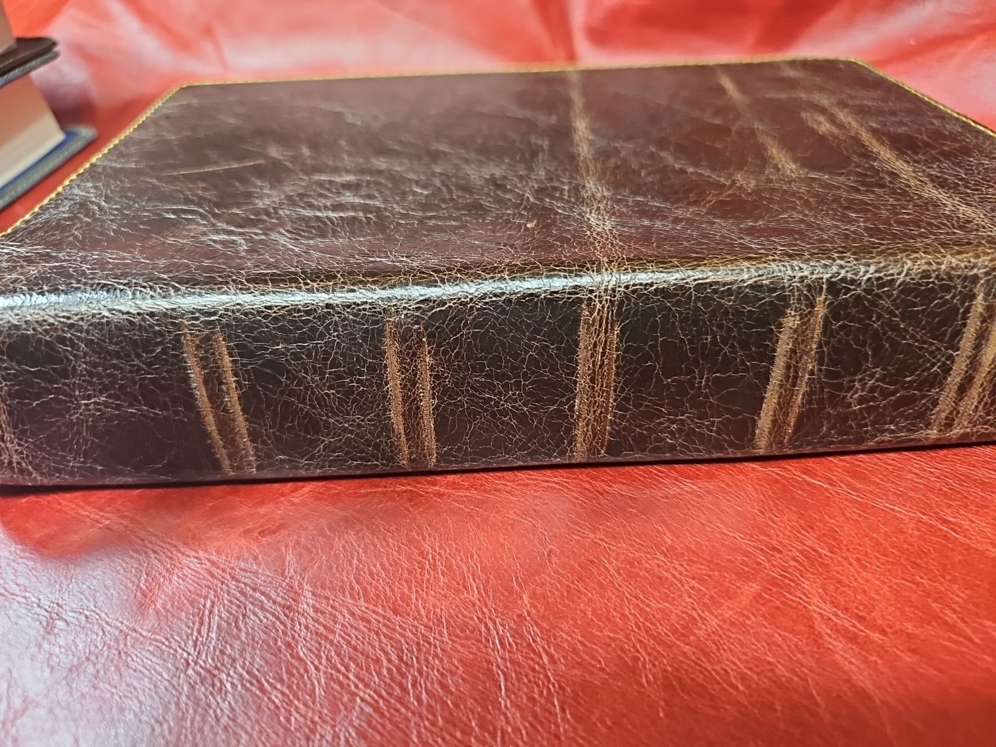 Criswell Study Bible Rebound with Liner Cowhide Nice! Stitched Parameter Nice!
