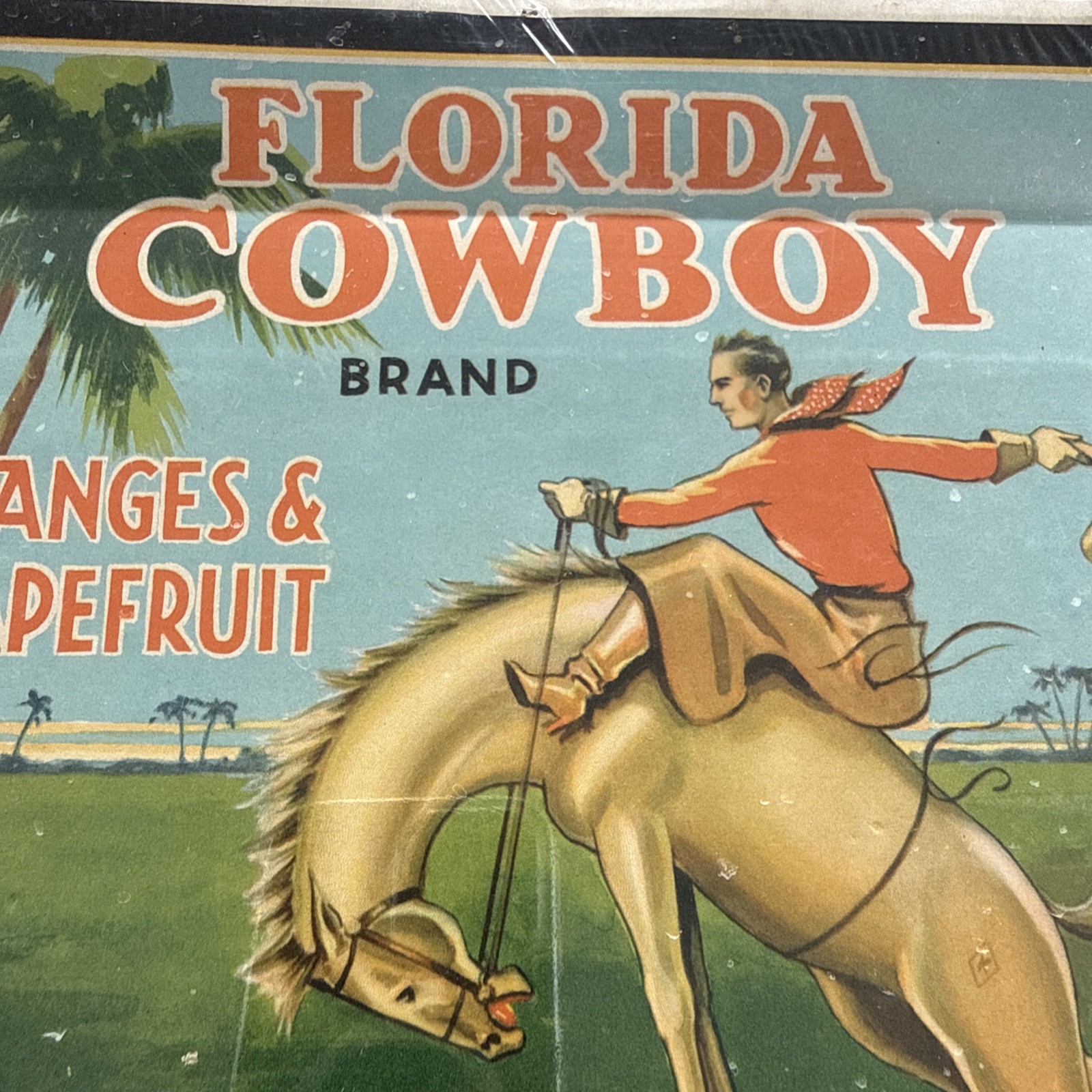 Original Vintage Florida Cowboy Citrus Crate Label Kissimmee Growers Horse Art