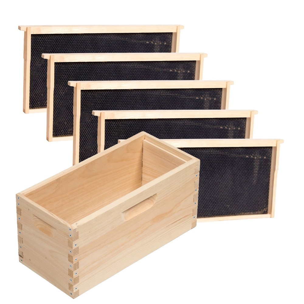 5 Frame Deep Nuc Assembled Beekeeping Box, Plastic Foundation Frames, Amish Made