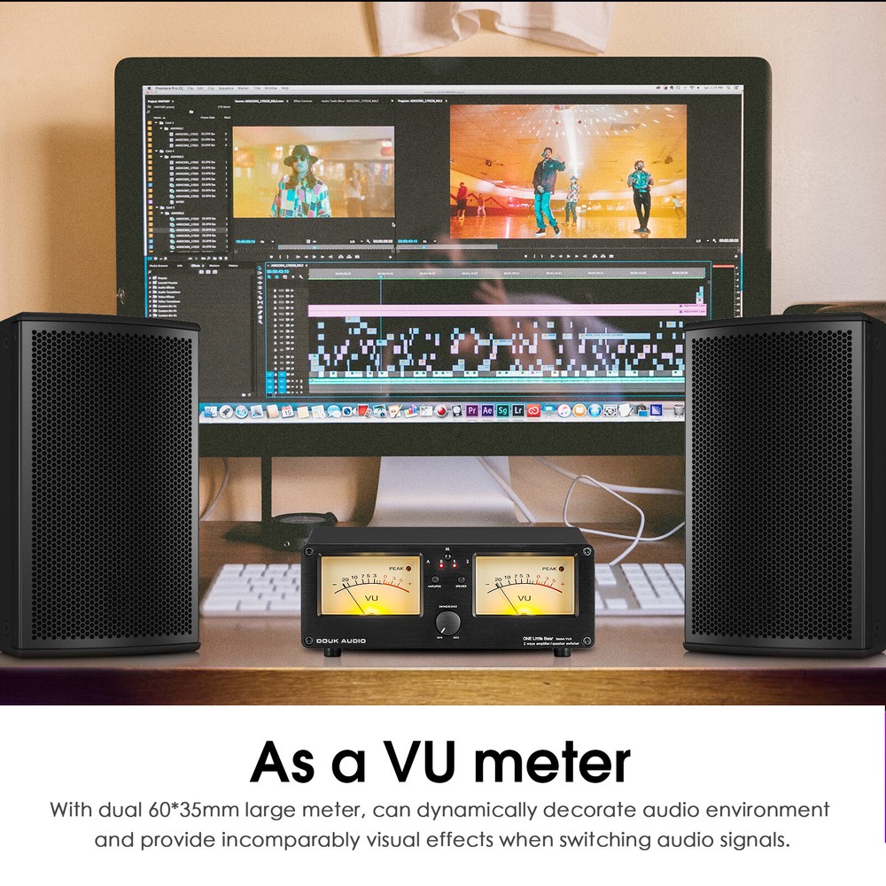 Dual Analog VU Meter 2-way Amplifier/Speaker Audio Switcher Box DB Panel Display
