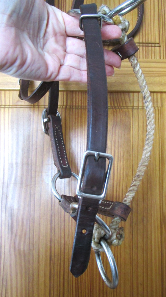 WEAVER LEATHER SIDE PULL, BITLESS BRIDLE HORSE SIZE