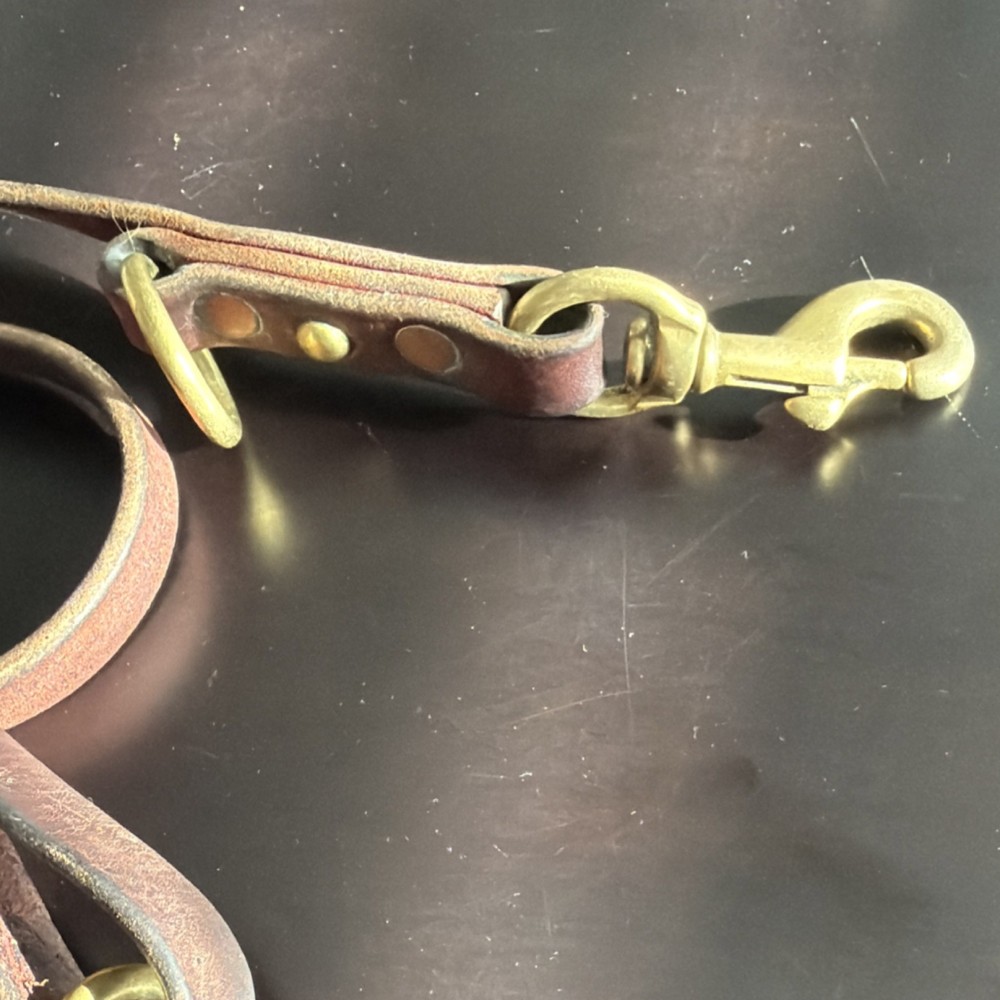 Brown Leather Dog Leash with Brass Hardware