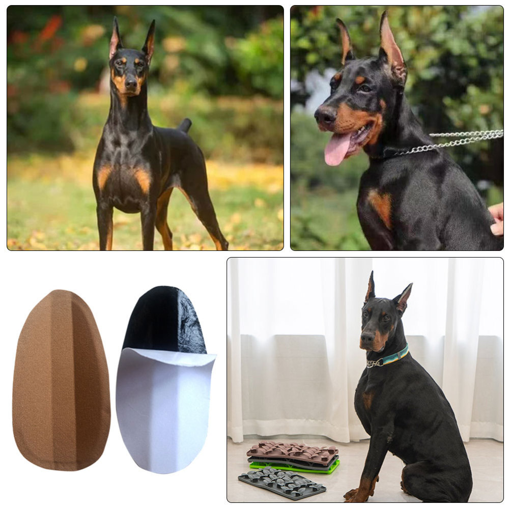 Small Dog Ear Stand up Support Standing Kit for Puppies Patch