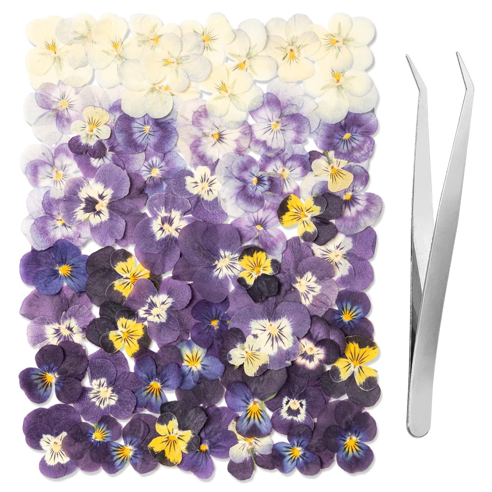 60Pcs Dried Pressed Pansies Flowers for Cake Decorating, Purple, Purple