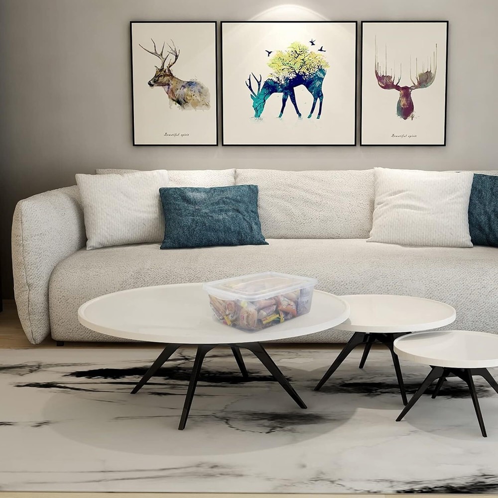 4-Pack 14 L Clear Storage Box, Plastic Bin