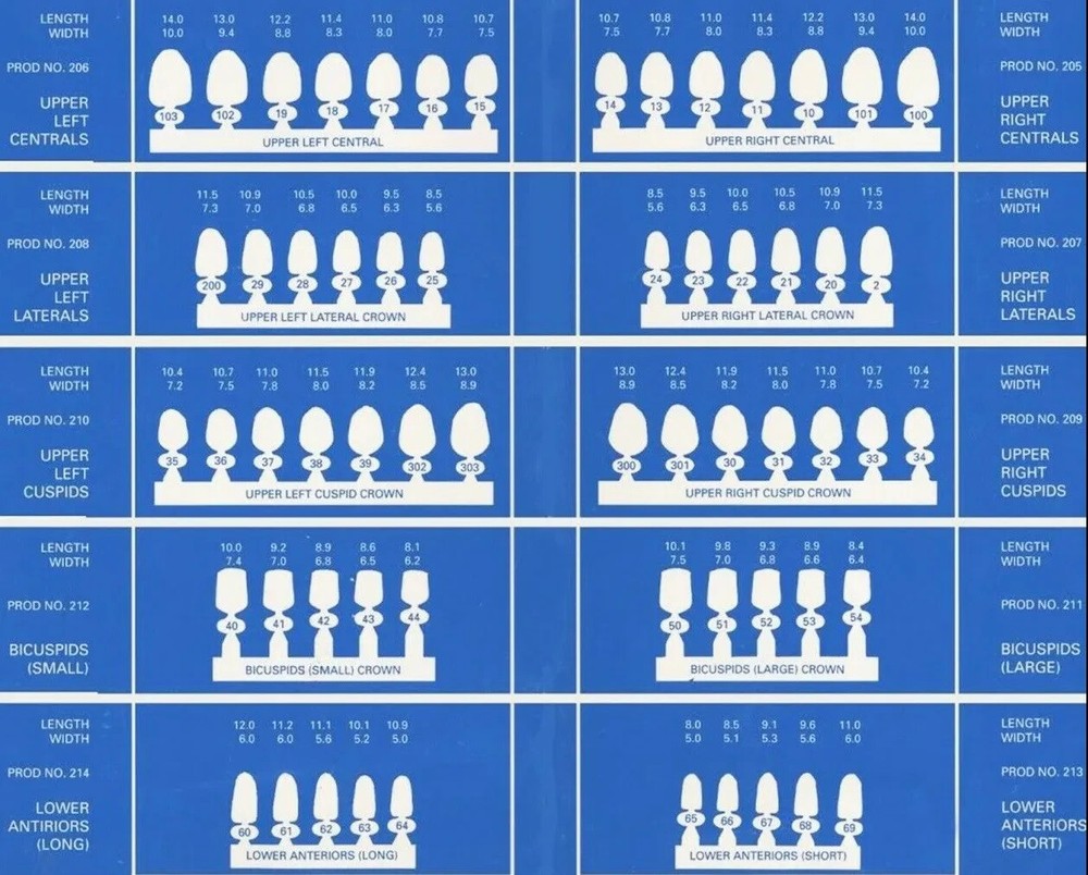 Dental Temporary Polycarbonate Crown Kit - 180/bx, Universal shade, Translucent