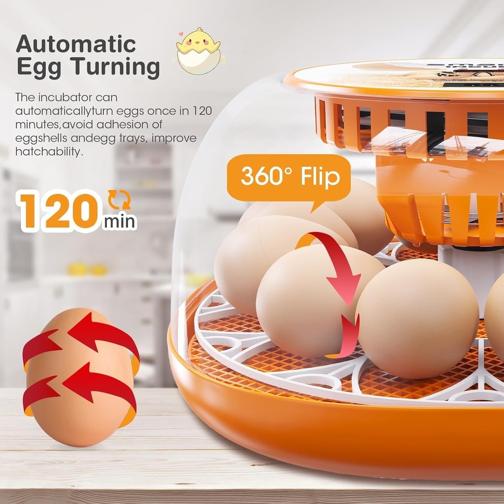 12 Egg Incubator with Automatic Egg Turning and Temperature Control, Automati...