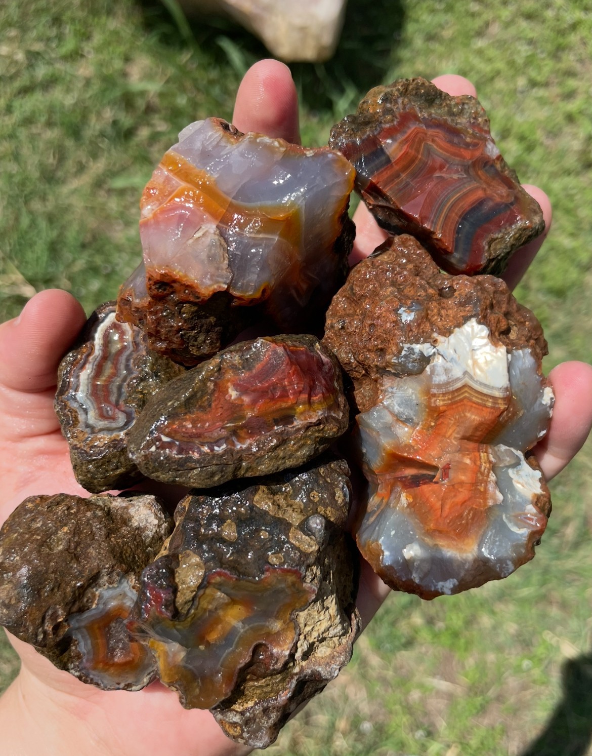Condor Agate Rough