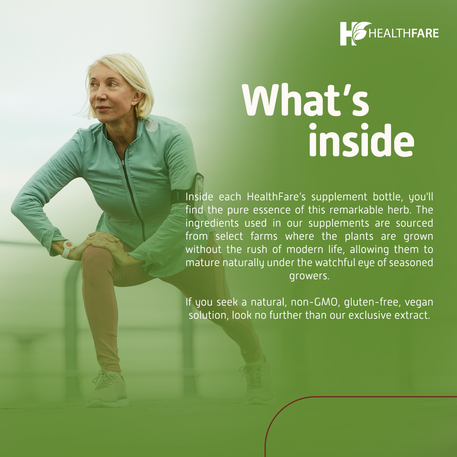 HealthFare Rutin 500mg Rutoside Bioflavonoid 200 Caps Vascular Health USA Made